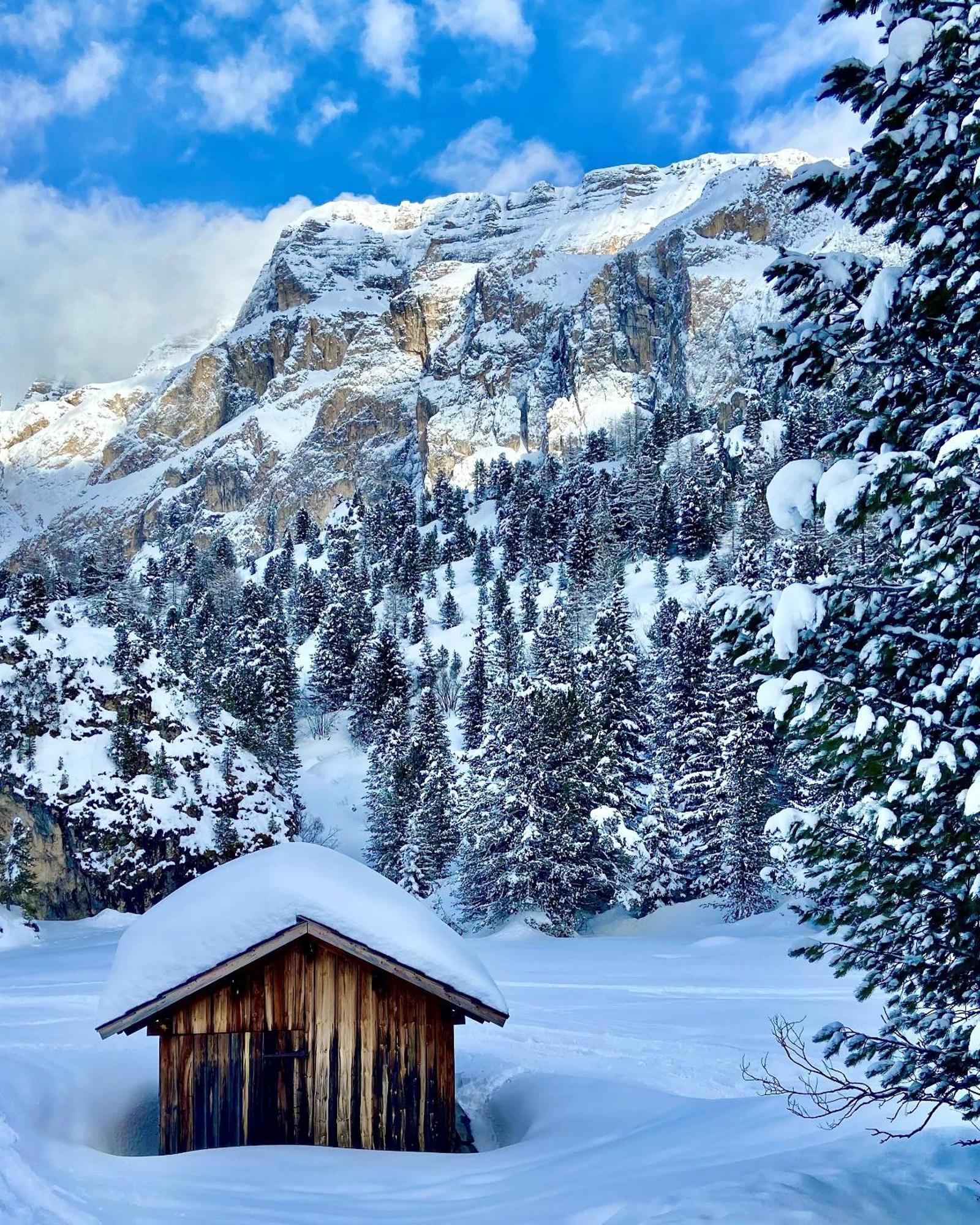 Cesa Vedla - Quite And Cozy Alpine Escape Ортізеї Екстер'єр фото
