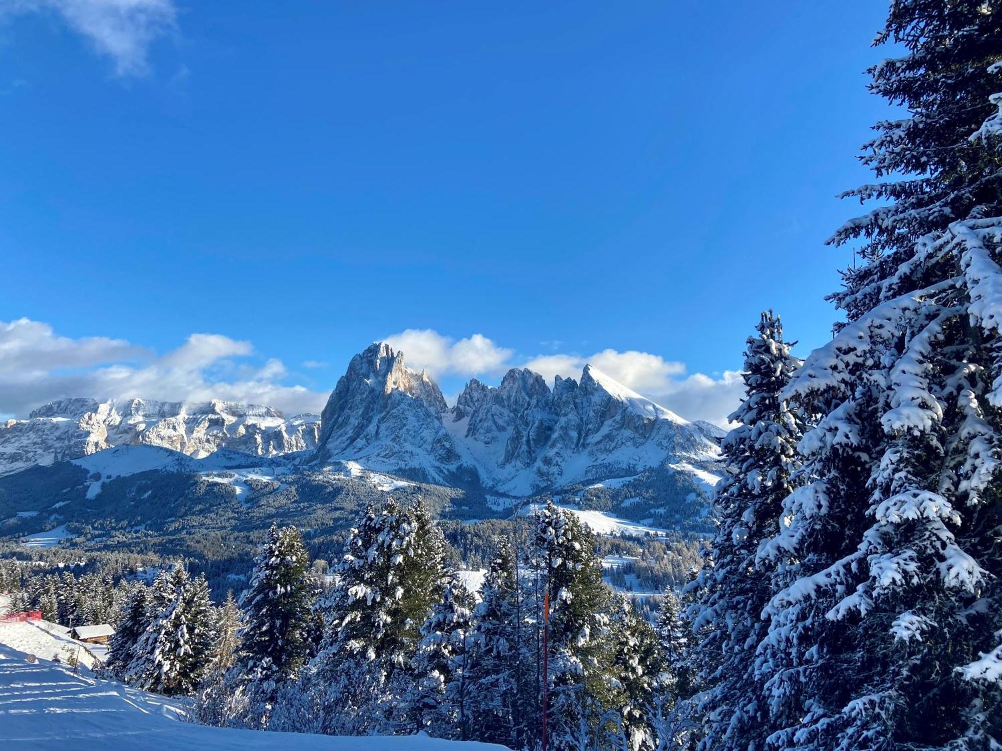 Cesa Vedla - Quite And Cozy Alpine Escape Ортізеї Екстер'єр фото