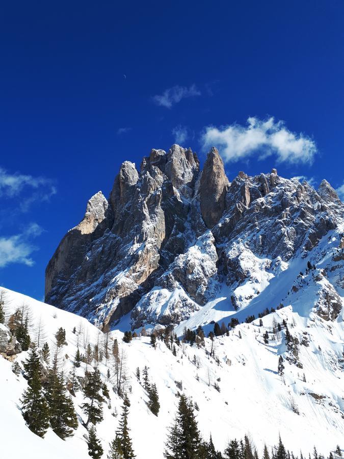 Cesa Vedla - Quite And Cozy Alpine Escape Ортізеї Екстер'єр фото