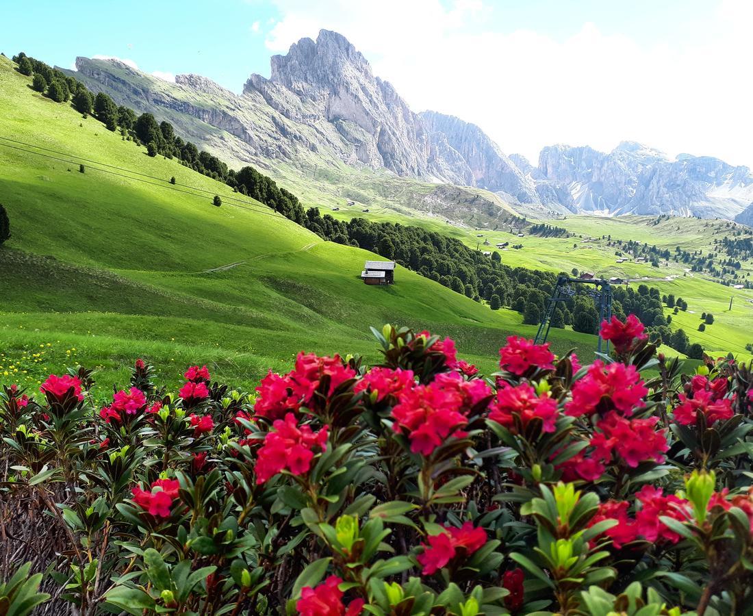 Cesa Vedla - Quite And Cozy Alpine Escape Ортізеї Екстер'єр фото